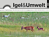 Titelbild Herbstzeitung 2025 IuU 2025 2 200