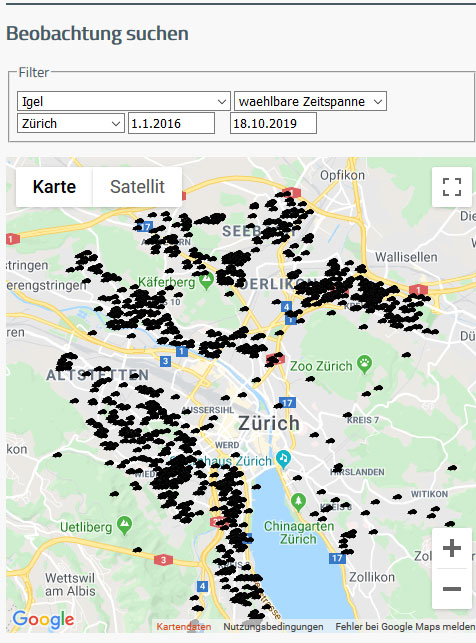 Igelbeobachtungen 2016 bis 2019 in der Stadt Zürich
